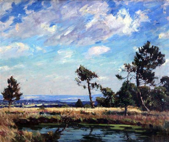 Thomas Lock Landscape with pine trees 16 x 20in.